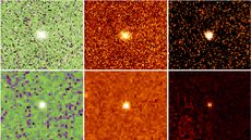 Telescope images of Neptune's rare red asteroids taken with taken with the Palomar 200-inch, Gemini and Keck telescopes