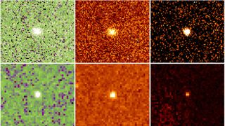 Telescope images of Neptune's rare red asteroids taken with taken with the Palomar 200-inch, Gemini and Keck telescopes