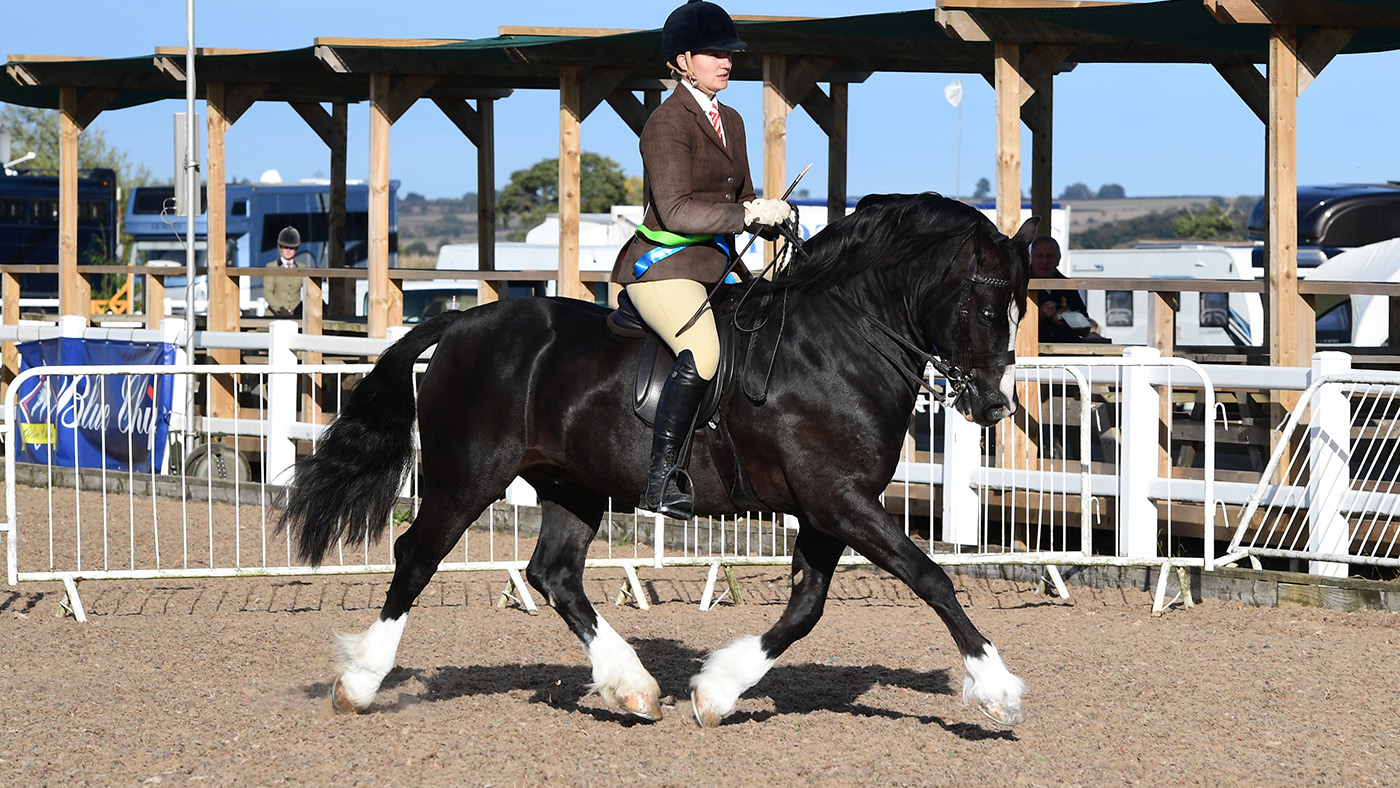 Heritage Show 16.10.2266700