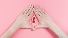 hands and pills in shape of vagina on pink background 