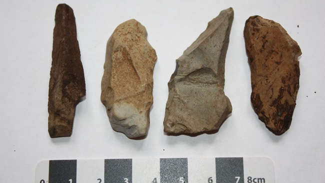 A set of four stone tools rests on a white background with a scale underneath