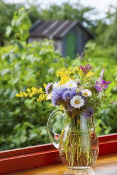 Glass Pitcher Of Flowers