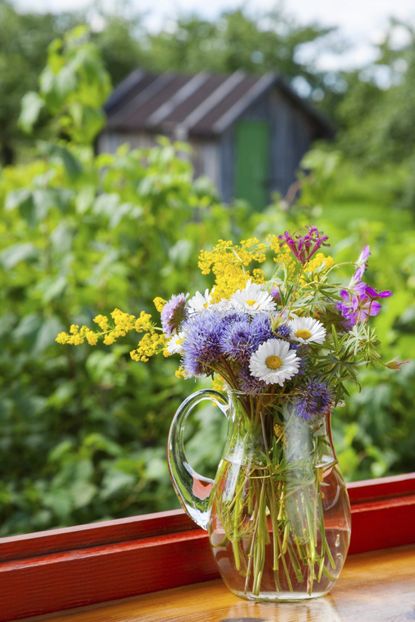 Glass Pitcher Of Flowers