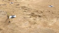 Ancient human footprints pressed into a sandy beach. 
