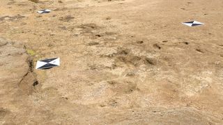 Ancient human footprints pressed into a sandy beach. 
