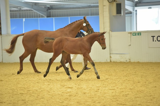 Kingston Star