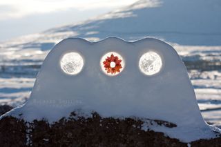 Environmental art sculpture made from snow, ice and a single maple leaf.