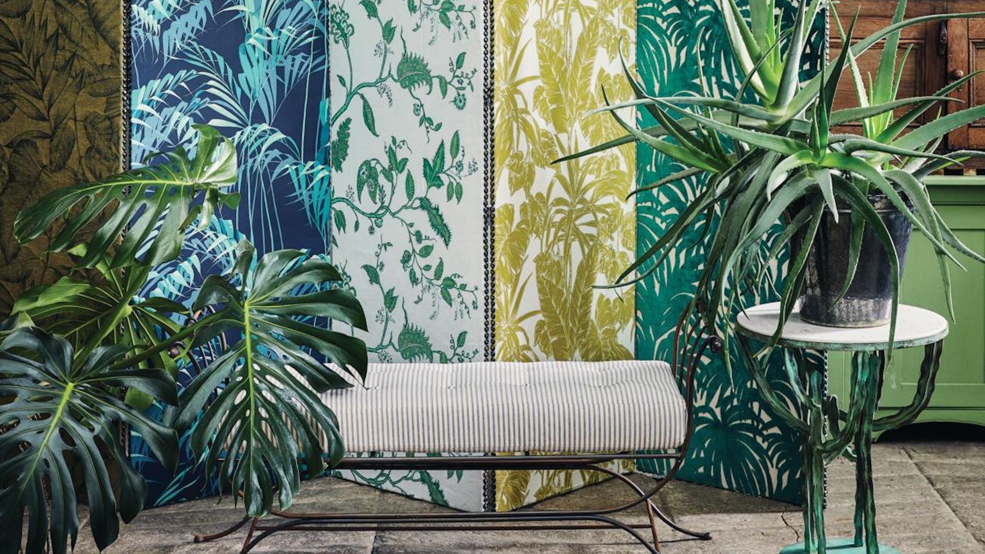 Monstera and aloe vera styled against patterned backdrop