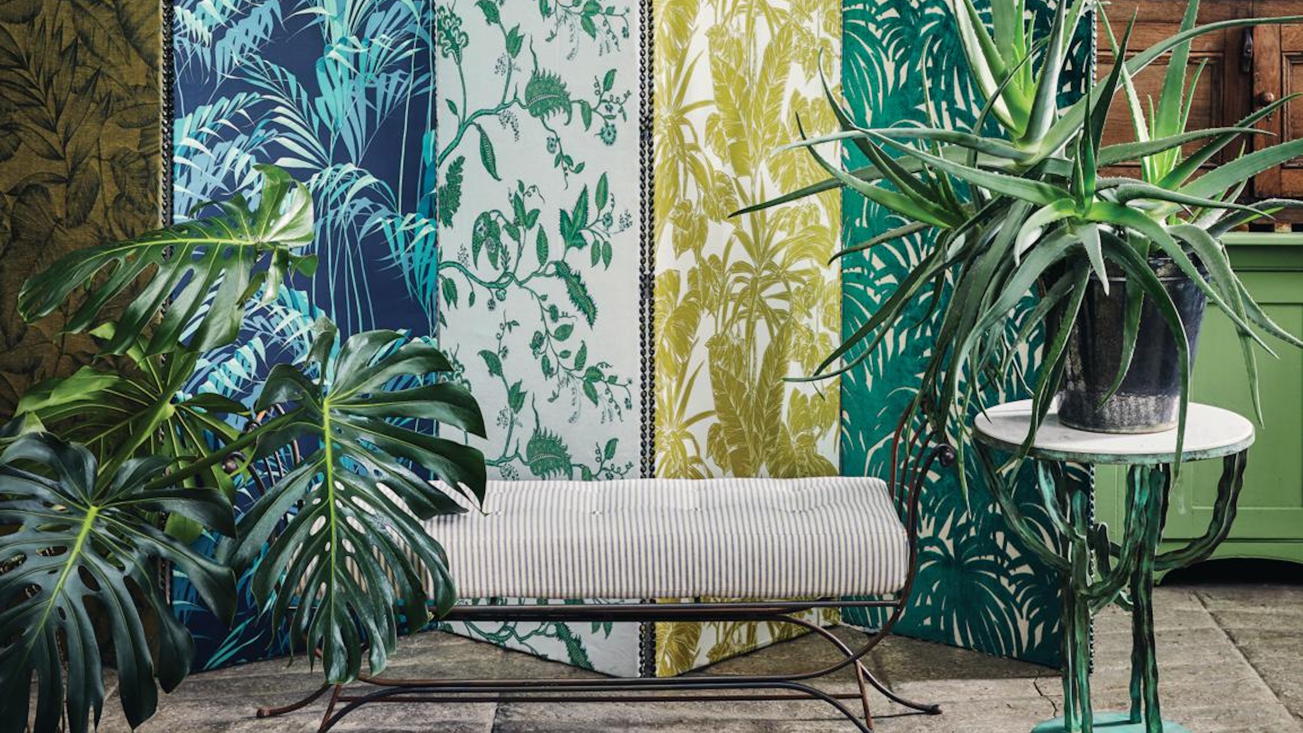 Monstera and aloe vera styled against patterned backdrop
