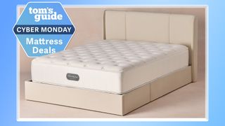 The Westin Heavenly Bed mattress on a divan bed frame in a neutral colored room is a t the center of the image, with a blue border. In the top left corner is a Tom's Guide Cyber Monday Mattress Deals badge