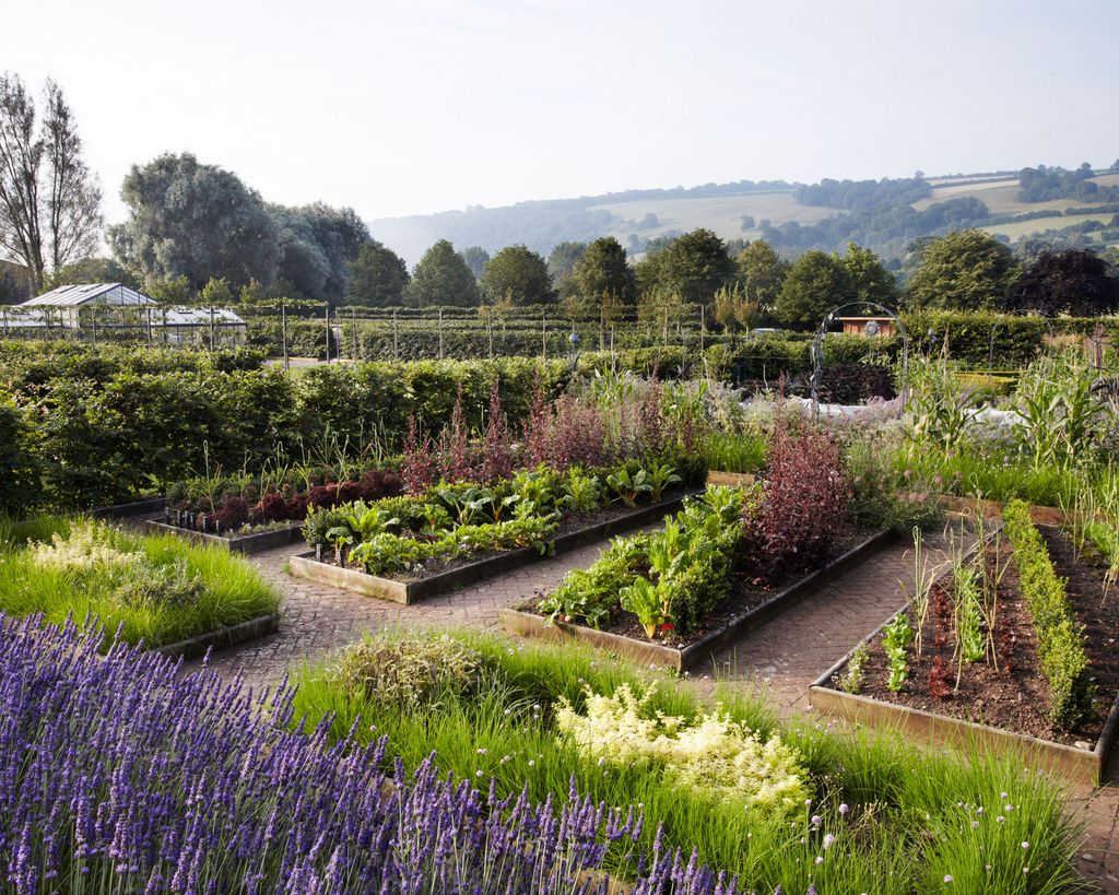 Kitchen Garden Ideas Easy Ways To Get Started Homes And Gardens