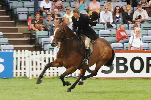 2009-finn-mccool.jpg