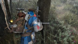 Arc Raiders mushroom locations: A player wearing a bright blue poncho collecting a mushroom from a tree.
