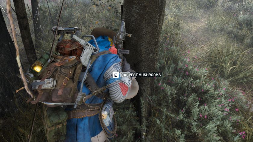 Arc Raiders mushroom locations: A player wearing a bright blue poncho collecting a mushroom from a tree.