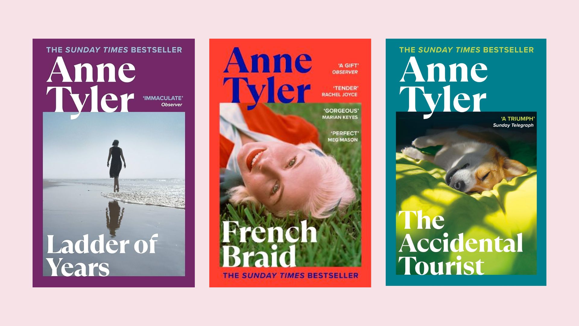 Three Anne Tyler Books: Ladder of Years, French Braids, The Accidental Tourist
