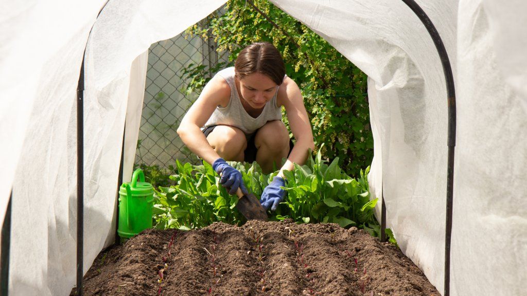 A woman plants seedlings in a hoop house