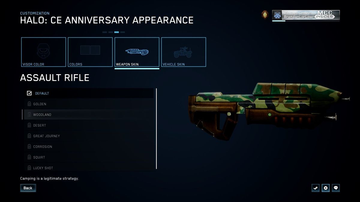 H:CE Assault Rifle skins.