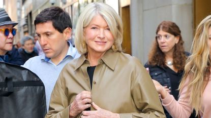 Martha Stewart's tiny cheese pile