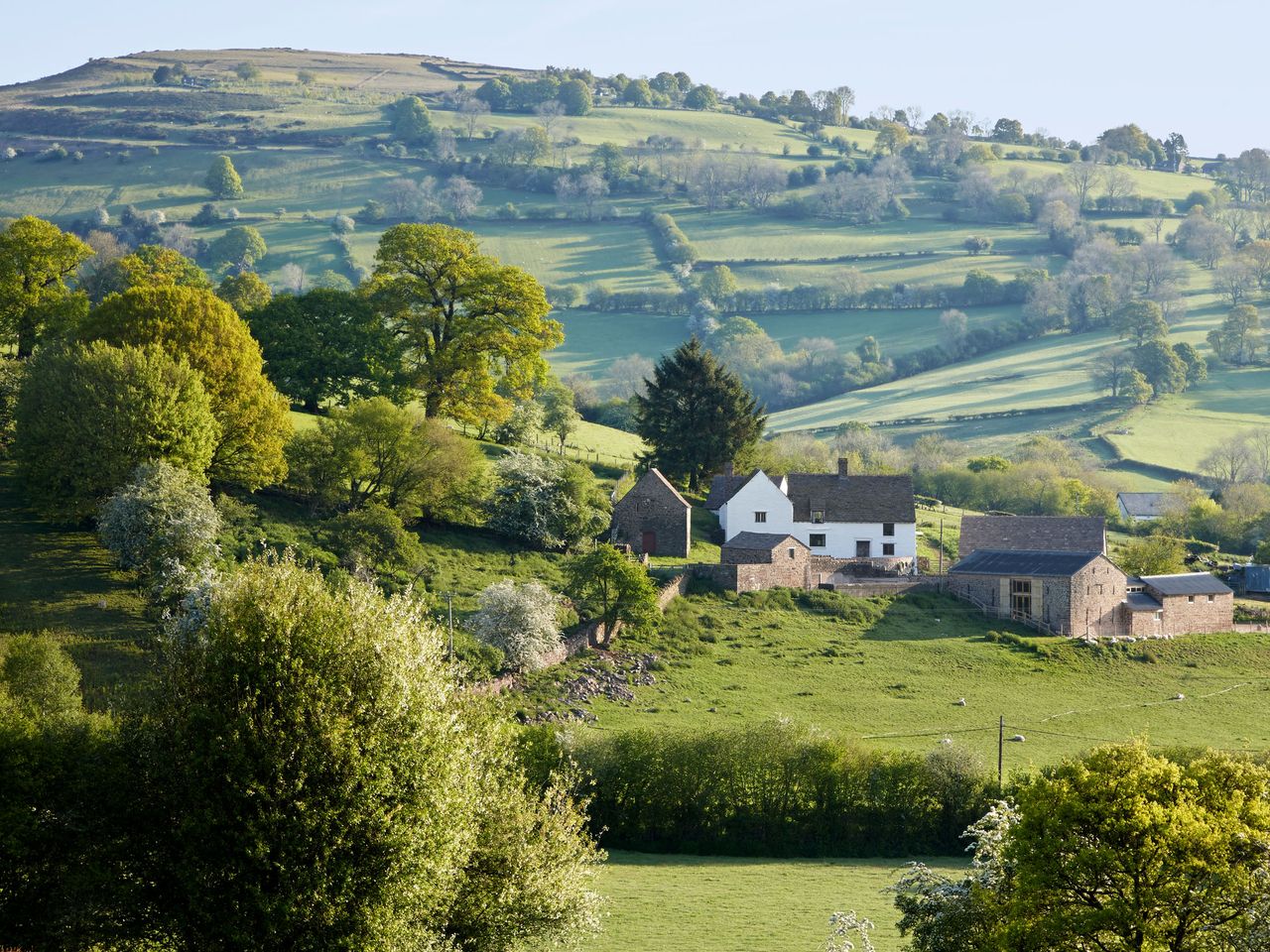 Distant view from the south of Llwyn Celyn.