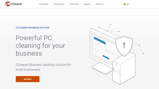 CCleaner Business Edition website screenshot
