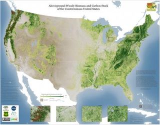 Map Of Us Forests New Map Reveals Size of U.S. Forests | Live Science