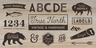 True North font