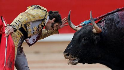 bullfighter Juan Jose Padilla