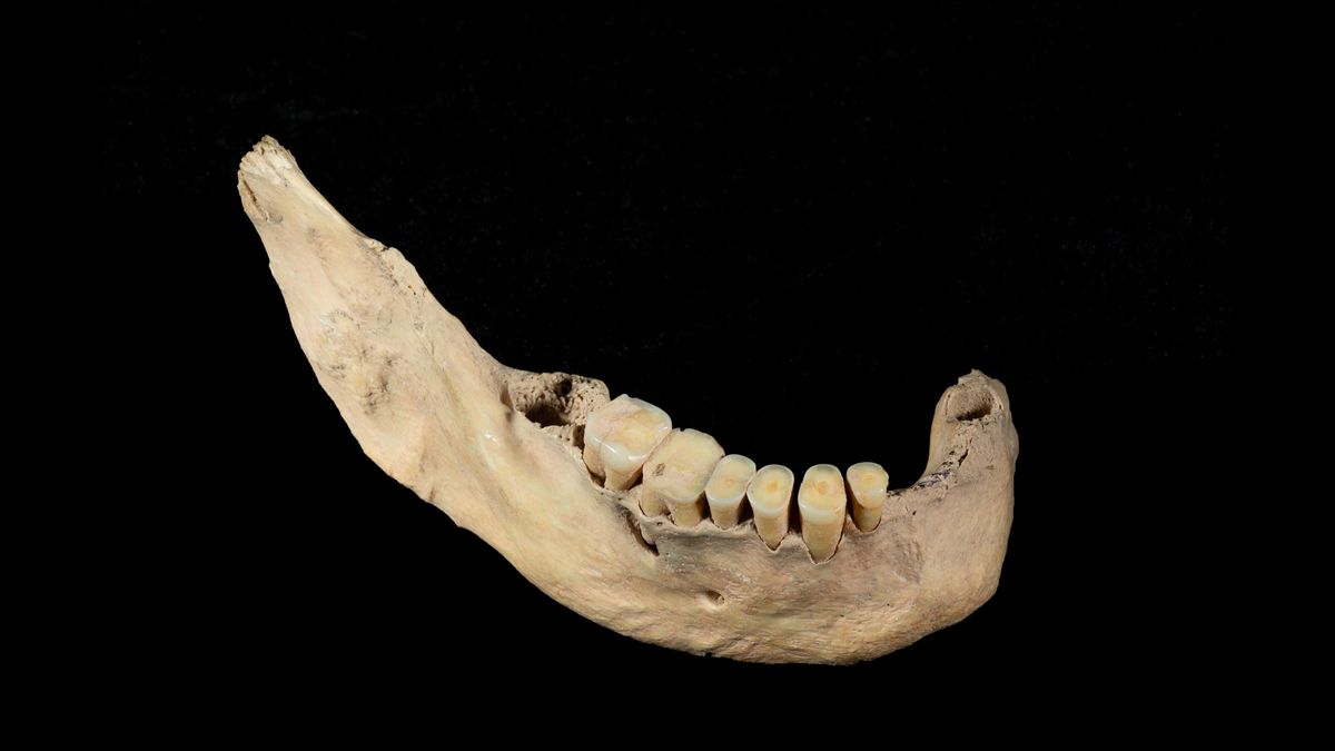 The jawbone of Tianyuan man