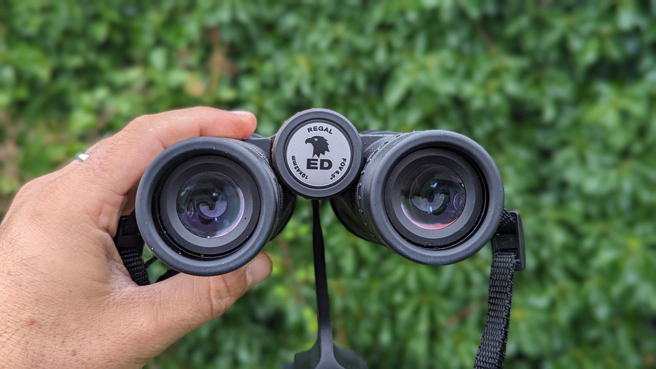 Binoculars with green foliage backdrop