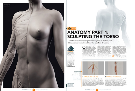 Create a 3D écorché figure