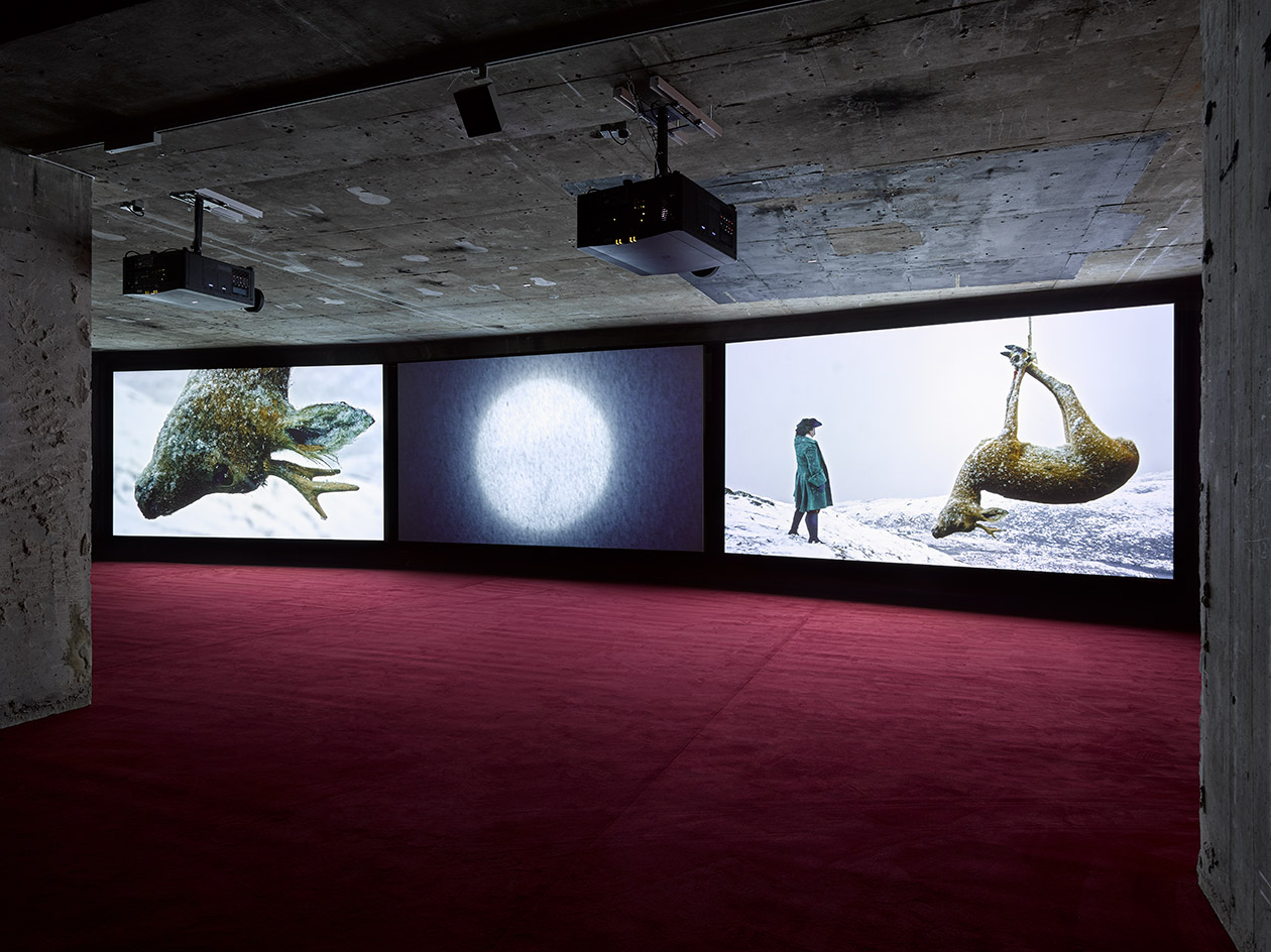 Curved screen showing sea animal and deer hanging from rope