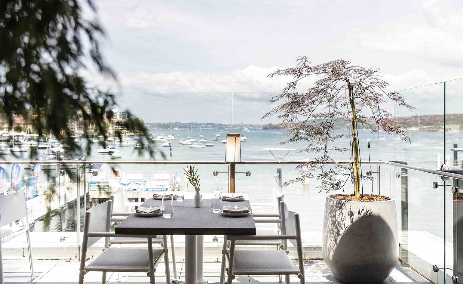 Saké Restaurant & Bar opens in Sydney's Manly Wharf | Wallpaper