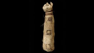 A group of researchers used a CT scan to examine the            insides of this ancient Egyptian cat mummy held at the Museum            of Fine Arts of Rennes in France. 