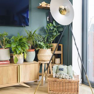 living room with green wall and floor lamp