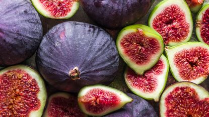 fig growing mistakes: fig harvest of Violet de Bordeaux fruits