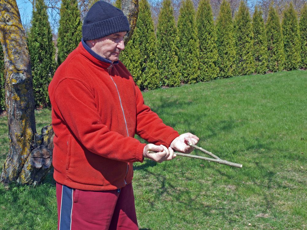 Dowsing The Pseudoscience Of Water Witching Live Science