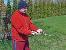 Divining rod, dowsing rod