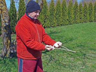 A forked twig is the most common form of a dowsing, or divining, rod.