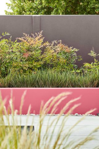Grasses in raised planter painted in Knightsbridge 215 Intelligent Masonry Paint and low wall painted in Carmine 189 Intelligent Masonry Paint both from