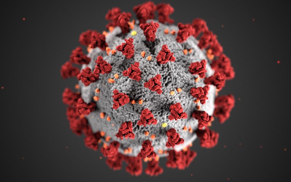 Coronavirus COVID-19