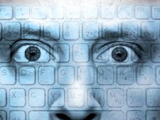 Looking into the data