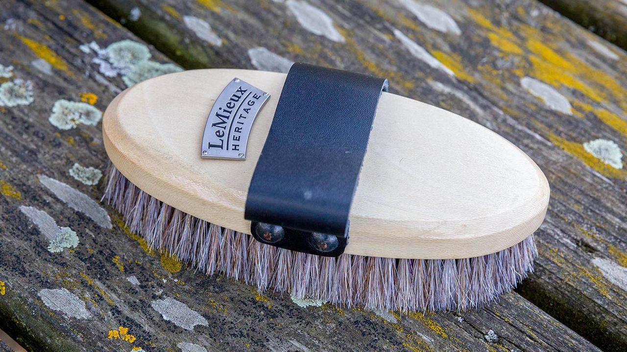 LeMieux Heritage dapple body brush review