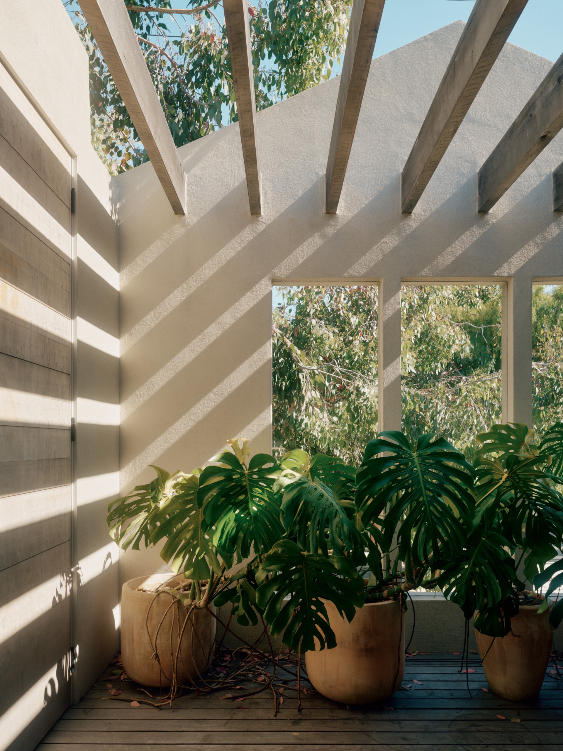 Precita House, San Francisco, a warm, natural-feeling home using timber and neutral colours