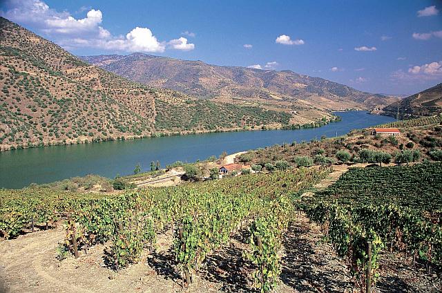 Douro Superior