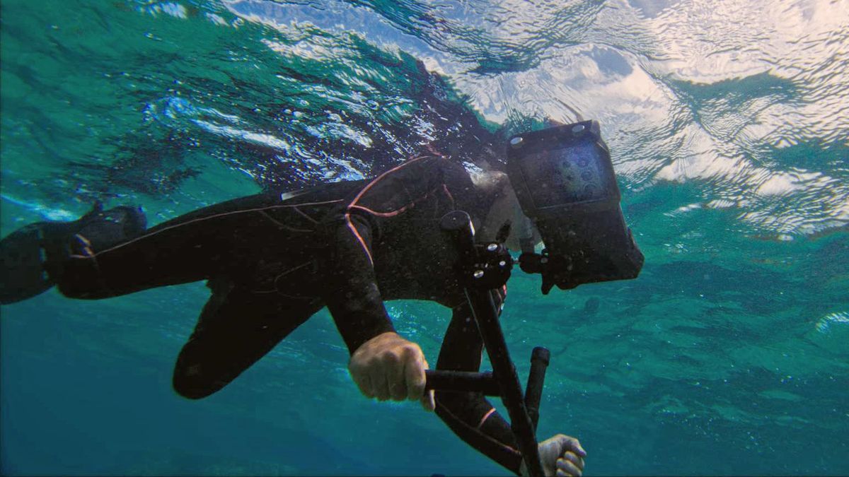 Samsung coral reef preservation