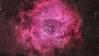 A pink rose-shaped nebula is shown glowing against a background of multicolored stars.