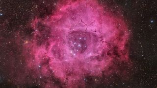 A pink rose-shaped nebula is shown glowing against a background of multicolored stars.