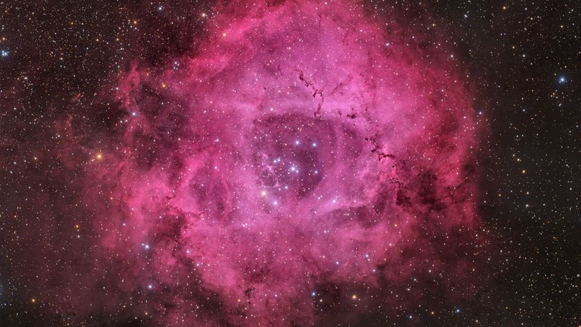A pink rose-shaped nebula is shown glowing against a background of multicolored stars.