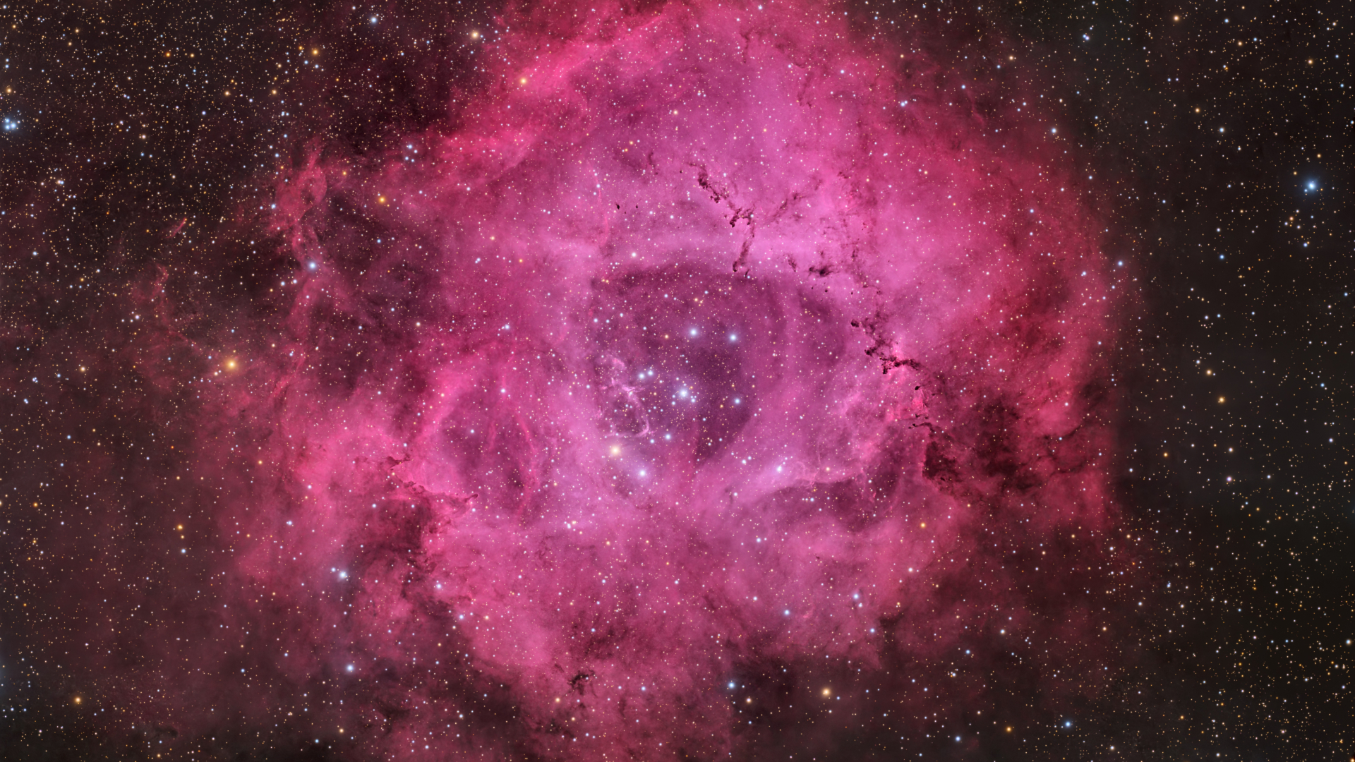 A pink rose-shaped nebula is shown glowing against a background of multicolored stars.