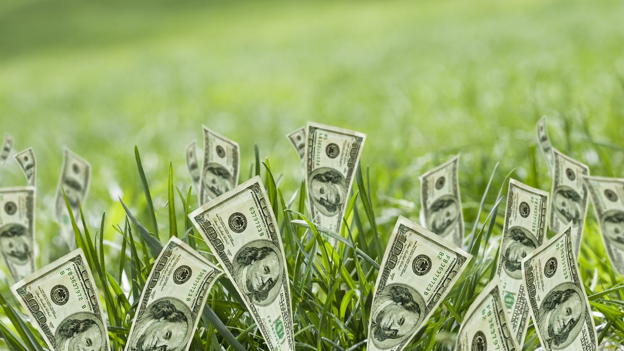 Hundred-dollar bills look like they&#039;re growing with grass.